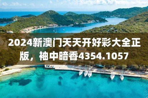 2024新澳门天天开好彩大全正版，袖中暗香4354.1057