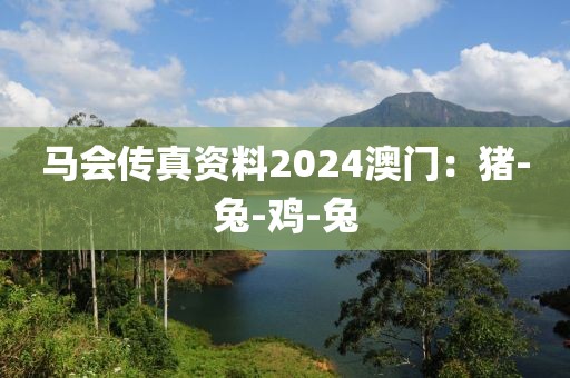 马会传真资料2024澳门：猪-兔-鸡-兔