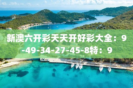 新澳六开彩天天开好彩大全：9-49-34-27-45-8特：9