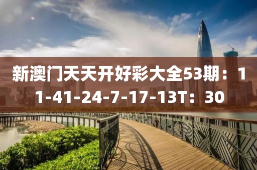 新澳门天天开好彩大全53期：11-41-24-7-17-13T：30