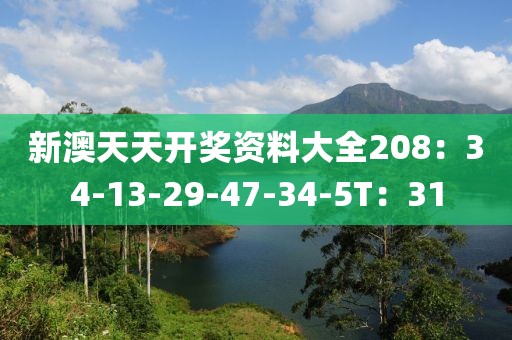 新澳天天开奖资料大全208：34-13-29-47-34-5T：31